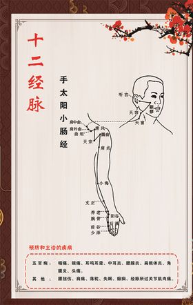 手太阳小肠经