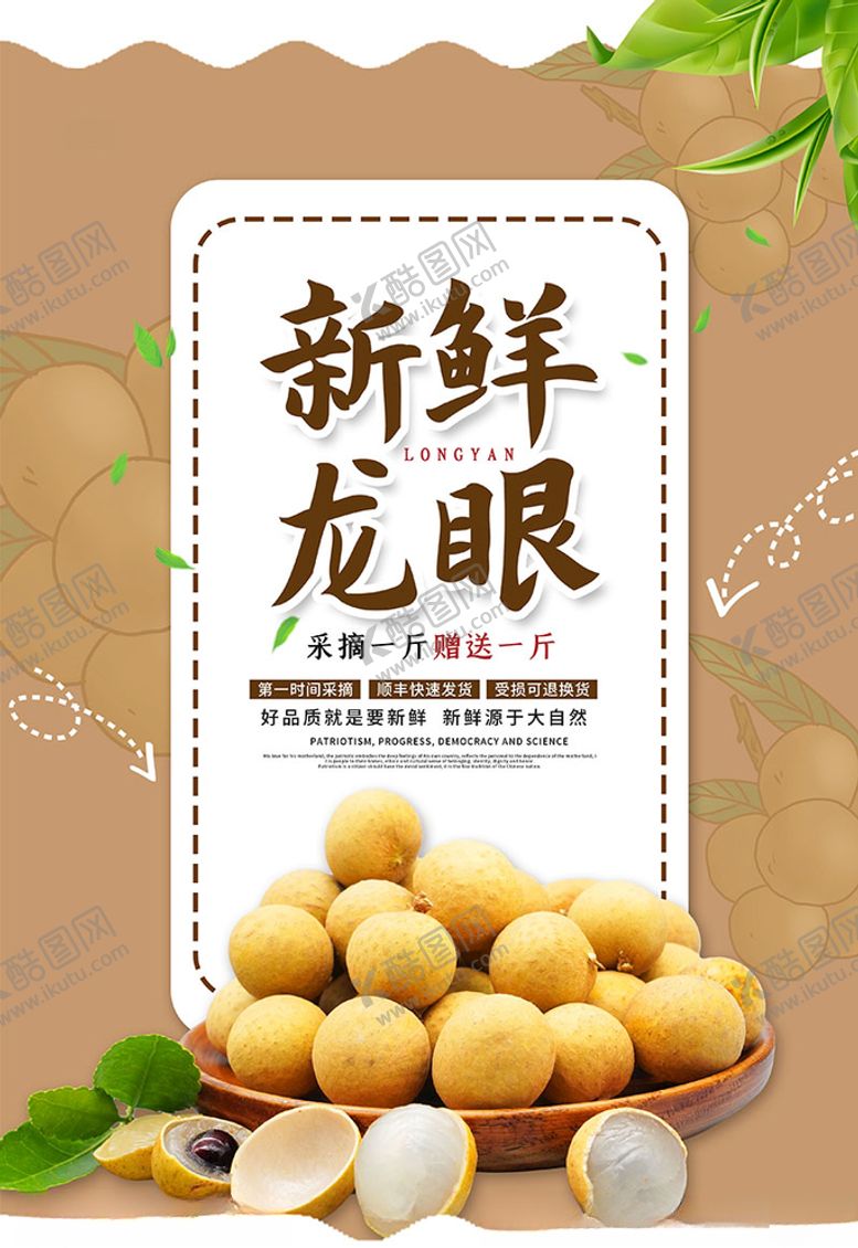 编号：97655509230541537954【酷图网】源文件下载-新鲜龙眼褐色简约海报