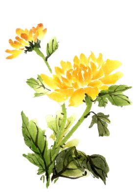 菊花装饰