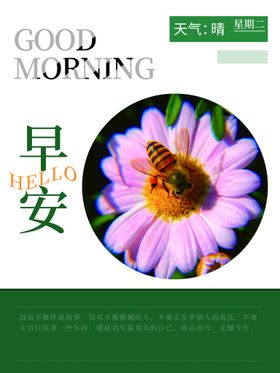 早安心灵鸡汤学校挂画办公室挂画插画