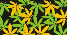 叶子花纹底纹图案