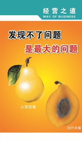 发现标语