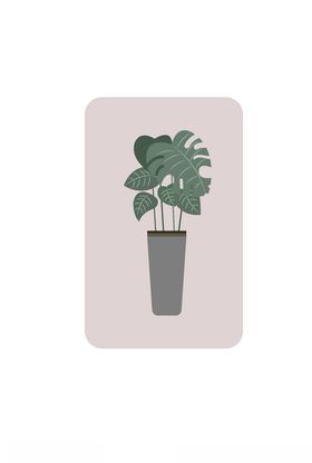 绿植插画