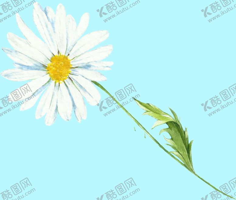 编号：30681510080431499813【酷图网】源文件下载-花卉树叶