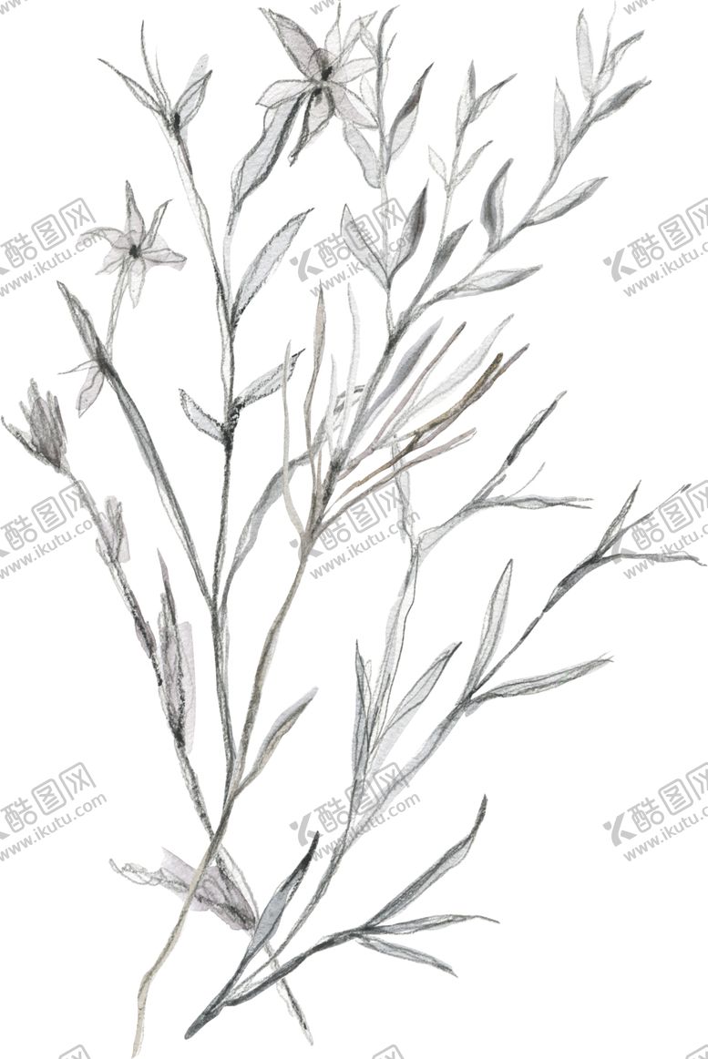 编号：51803809251757012158【酷图网】源文件下载-彩绘枝叶