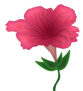 写实花卉漂亮手绘植物插图