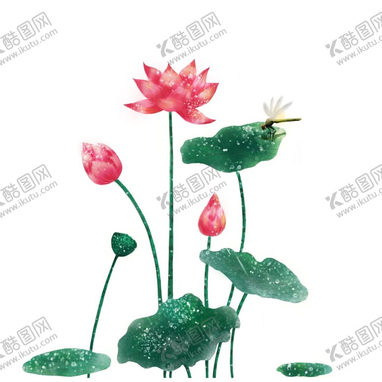 编号：67613509192023442214【酷图网】源文件下载-荷花蜻蜓夏季池塘海报合成素材