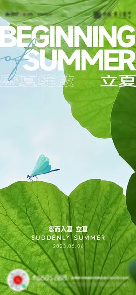 立夏海报蜻蜓荷叶天二十四节气