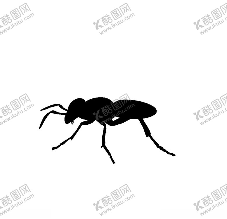 编号：32362909261436473560【酷图网】源文件下载-昆虫剪影