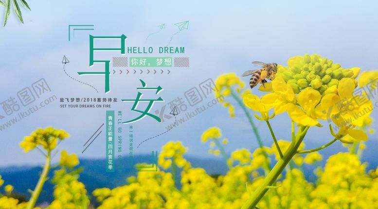 编号：53650609112335307768【酷图网】源文件下载-油菜花