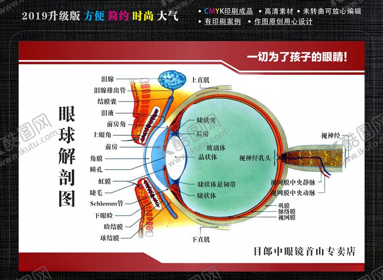 编号：25521410230318196373【酷图网】源文件下载-眼球解剖图