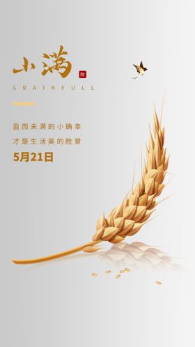 小满海报麦子地产初夏