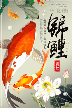 五月锦鲤