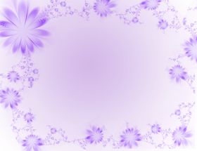 紫色小花