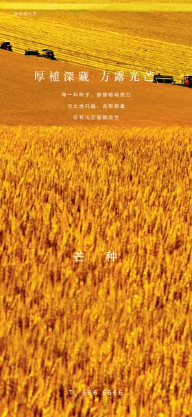 芒种节气海报