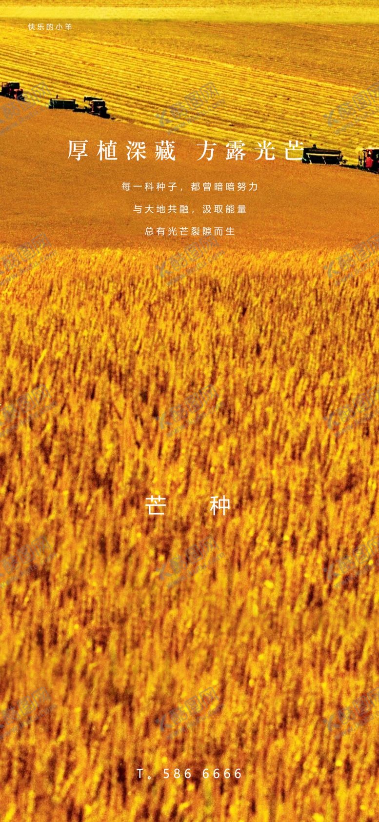 编号：25140509282120404405【酷图网】源文件下载-芒种节气海报