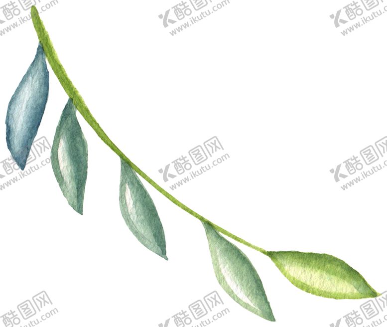 编号：11420410020324267421【酷图网】源文件下载-水彩植物