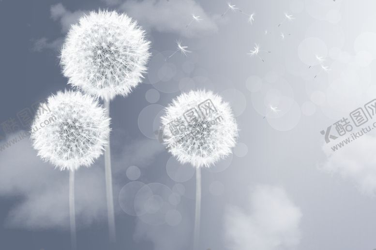 编号：33895309260905286651【酷图网】源文件下载-蒲公英背景墙