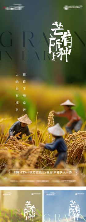 芒种二十四节气海报