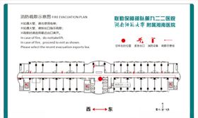 疏散图