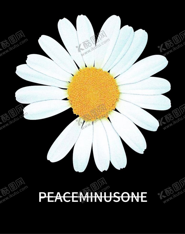 编号：58173309171518407773【酷图网】源文件下载-GD雏菊