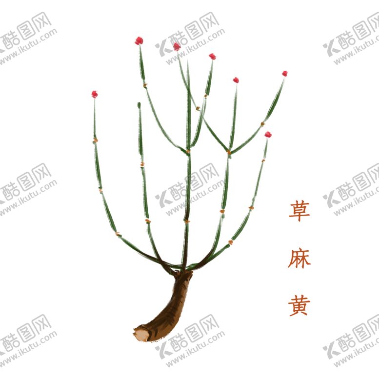 编号：72300705180200161121【酷图网】源文件下载-草本植物