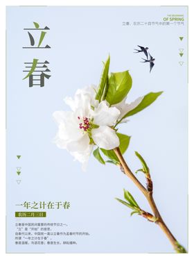 立春
