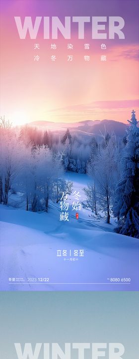 冬至大雪小雪立冬节气雪花海报