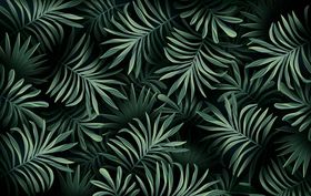 矢量手绘线条花草植物