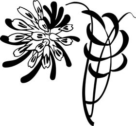 边框花纹纹样纹理花边