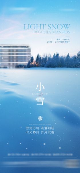 地产小雪节气海报二十四寒冷花