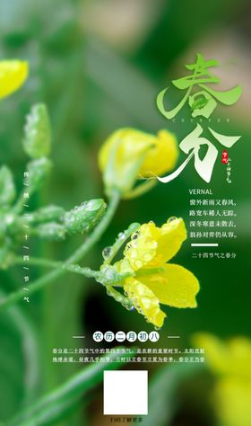 二十四节气——春分