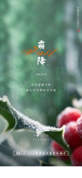 霜降元素冬天海报节气
