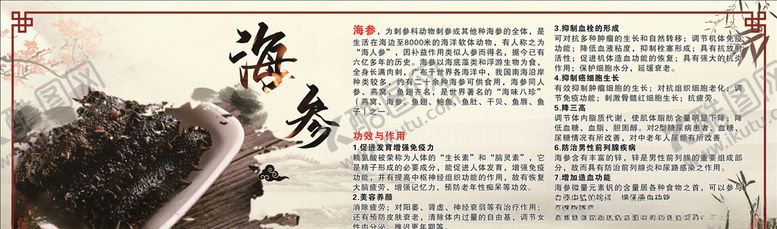 编号：37012505021646148937【酷图网】源文件下载-海参