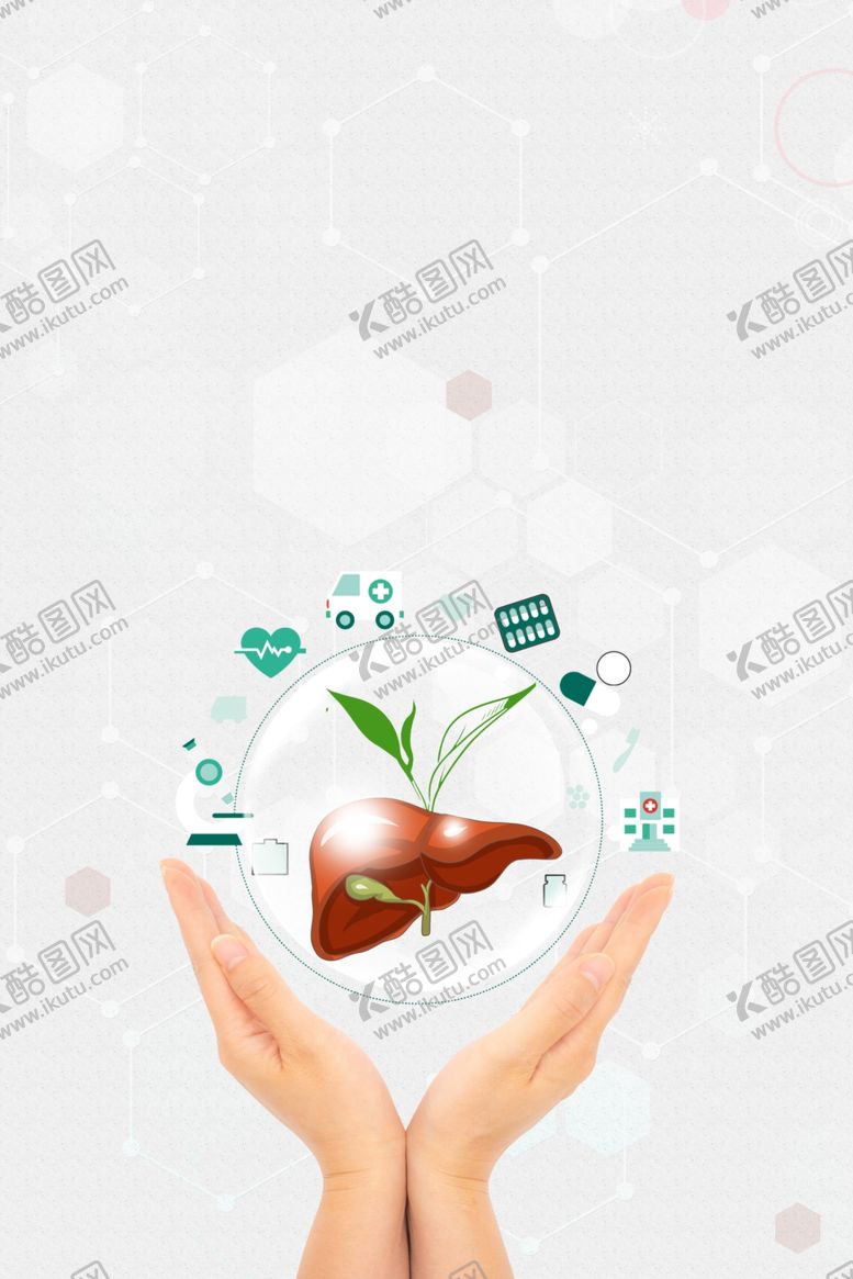 编号：23529802070037388077【酷图网】源文件下载-简约肝炎日肝脏健康背景