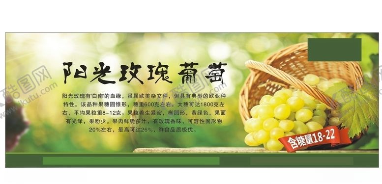 编号：12408806271718161919【酷图网】源文件下载-葡萄