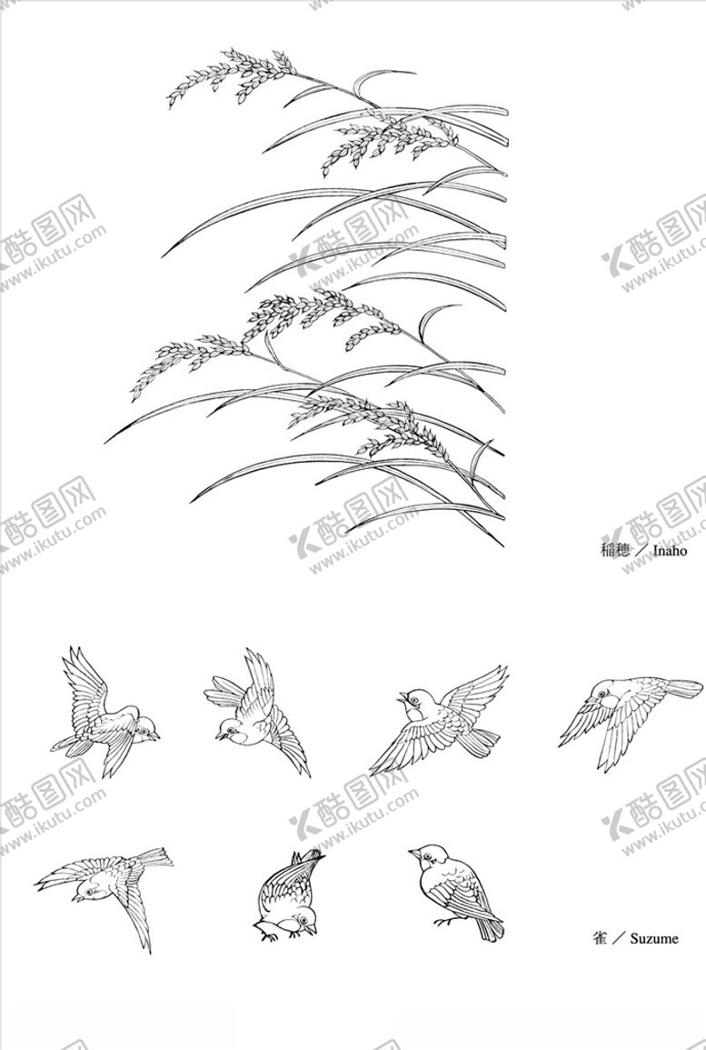 编号：12762509200948512808【酷图网】源文件下载-线描花朵