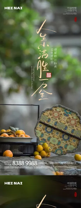 二十四节气小满意境海报