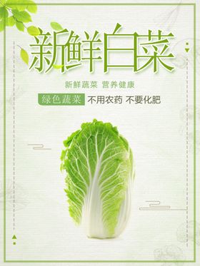 新鲜白菜