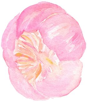 北欧小清新水彩花朵插画