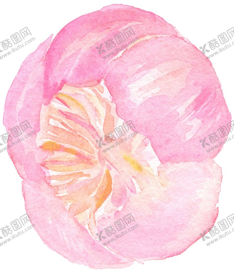 编号：82239510040503176912【酷图网】源文件下载-北欧小清新水彩花朵插画