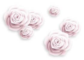 玫瑰花