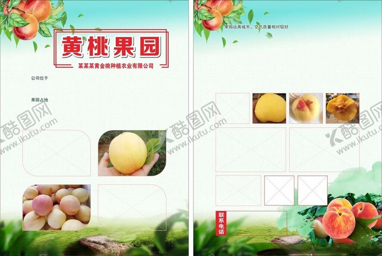 编号：32225211251635049563【酷图网】源文件下载-黄桃果园产品展示页面