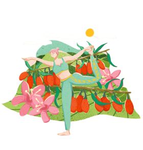 花朵枸杞抠图