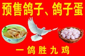 鸽子广告