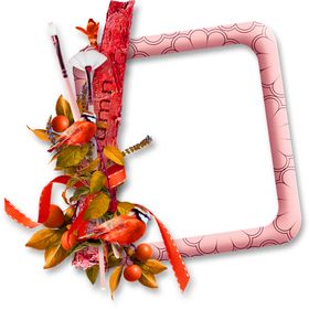 鲜花素材