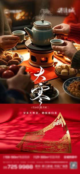 小寒大寒传统节气插画地产宣传海报