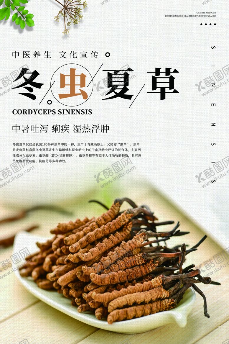 编号：24627610181846406477【酷图网】源文件下载-冬虫夏草海报