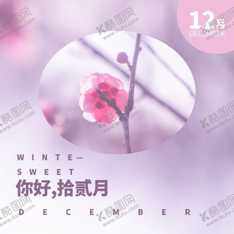 编号：83421505061630505251【酷图网】源文件下载-你好12月