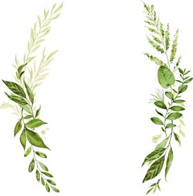 叶子背景手绘植物